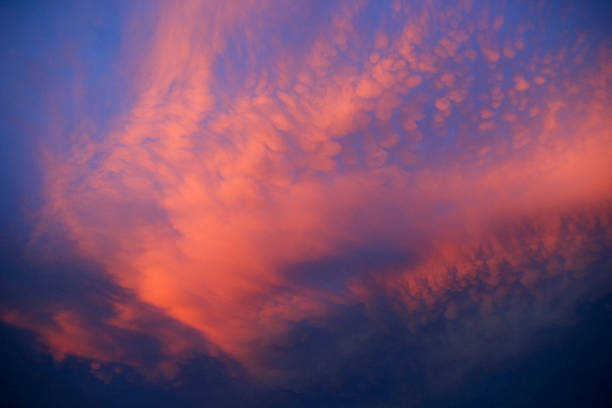 vivid pink mammatus wolken bei sonnenuntergang - harbinger stock-fotos und bilder