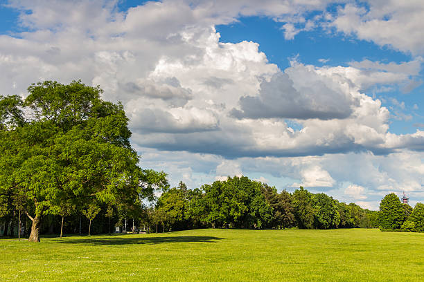 istock Park with green meadow and blue sky 538643292