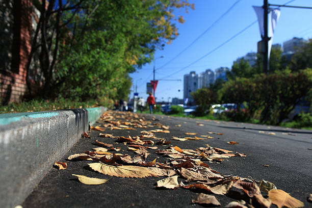 istock city ​​autumn leaves background 538645143