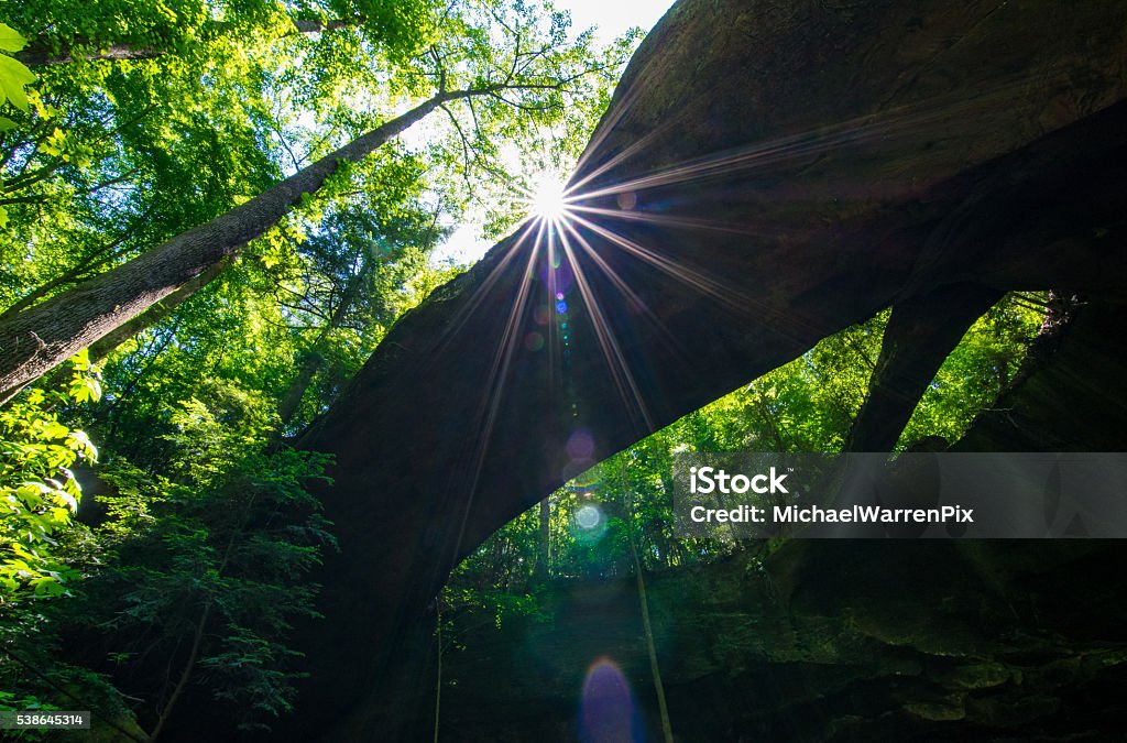 Sunlight in Forest Sunlight filters into the entrance of a cave and natural bridge in the Appalachian mountains of Alabama. The scene includes lens flare, dramatic lighting and saturated green trees. Adventure Stock Photo