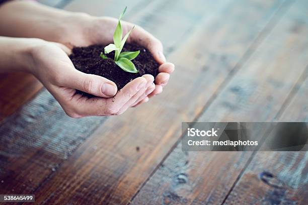 Save The Nature Stock Photo - Download Image Now - 2015, Adult, Adults Only