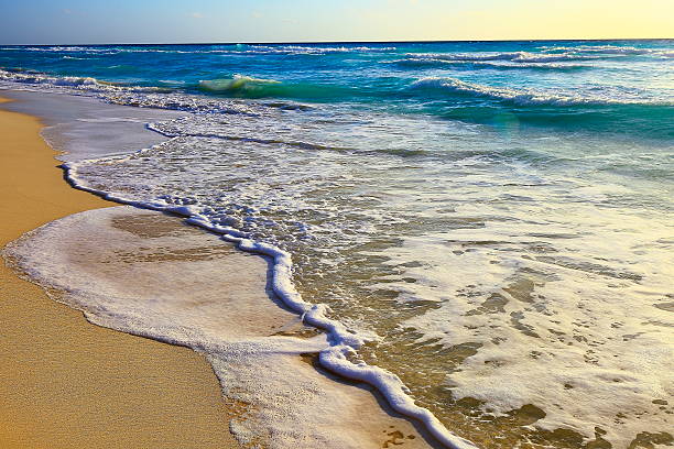 istock beach waves, riviera maya landscape - Cancun, caribbean tropical paradise 538646084