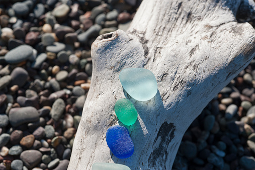 three beautiful pieces of beach glass are displayed on a bleached out piece of driftwood on a pebble beach