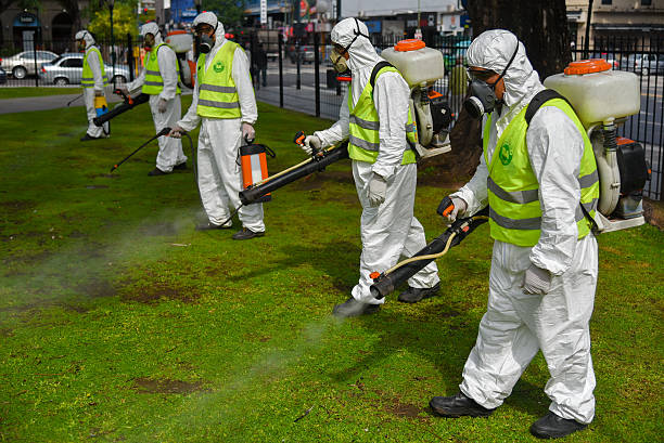 Employees fumigate for Aedes aegypti mosquitos stock photo