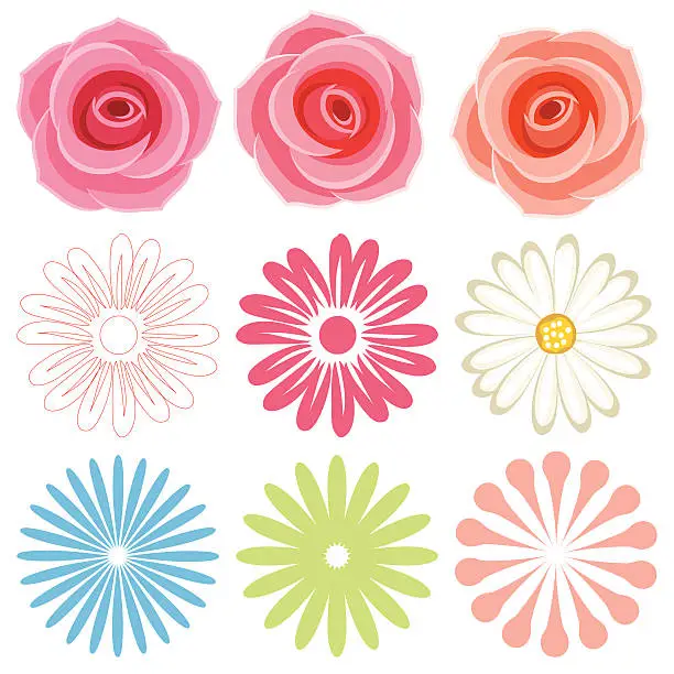 Vector illustration of Spring flowers - VECTOR