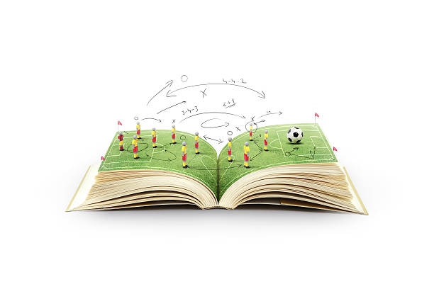istock Open book with green grass soccer stadium 538651087