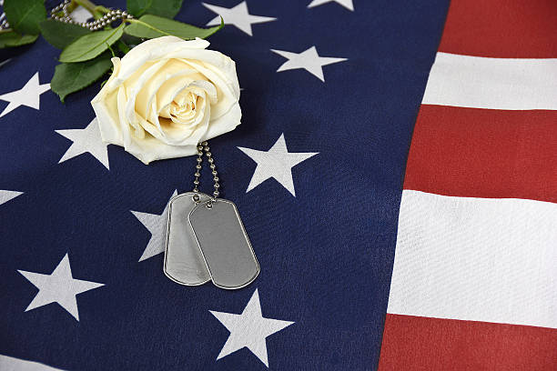 istock rose with military dog tags 538652174