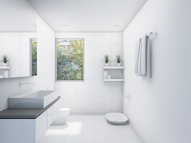 3D rendering white clean restroom with nature view stock photo