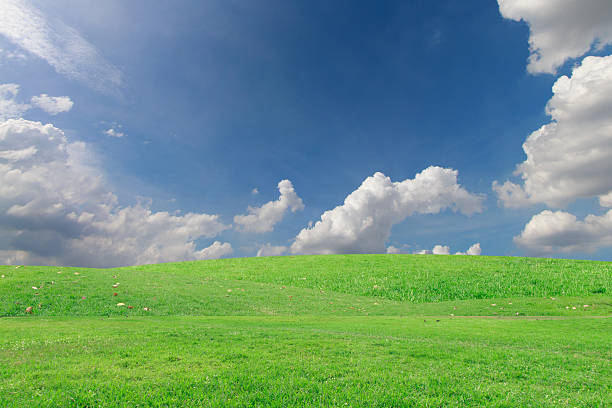 istock The landscapes background blue sky with clouds retouch 538654246