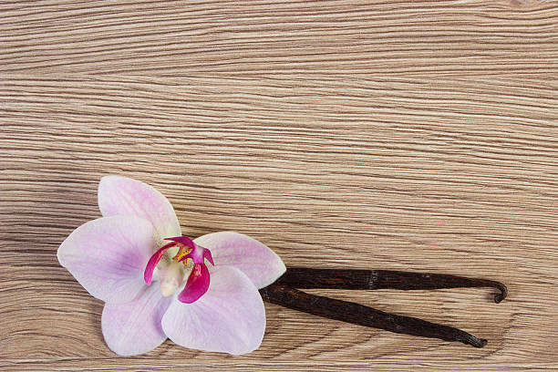 istock Blooming orchid and fragrant vanilla sticks, copy space for text 538656772