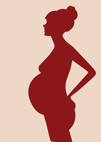 Silhouette of pregnant women.Vector illustration