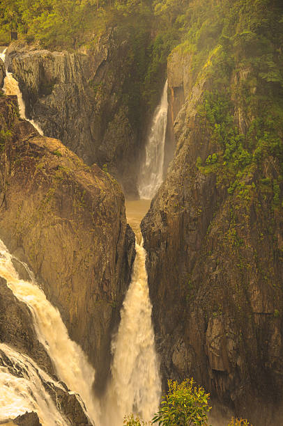 barron cae en kuranda - cairns monsoon queensland waterfall fotografías e imágenes de stock