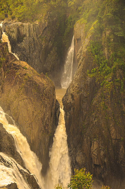 cataratas em kuranda barroncity dentro wisconsin usa - cairns monsoon queensland waterfall imagens e fotografias de stock