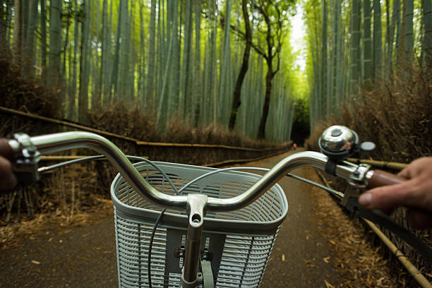 Cycling point of view of riding through a lush green bamboo forest