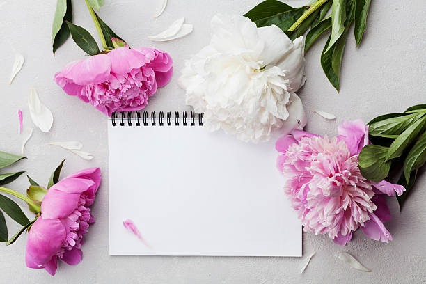 istock Pink and white peony flowers with empty notebook, flat lay 538665298