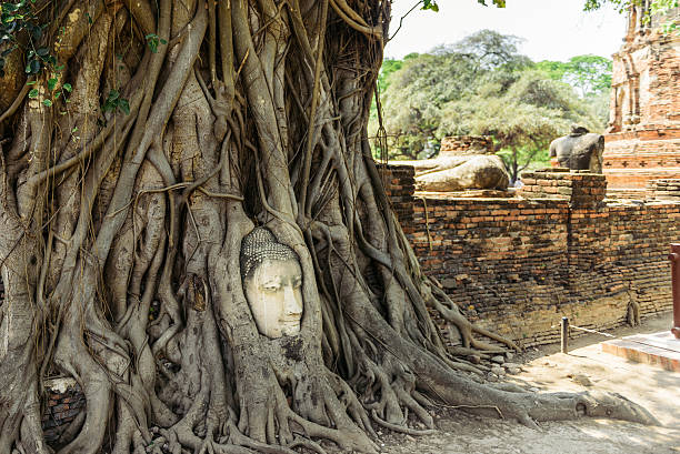 istock Head of Buddha in Ayutthaya 538665950