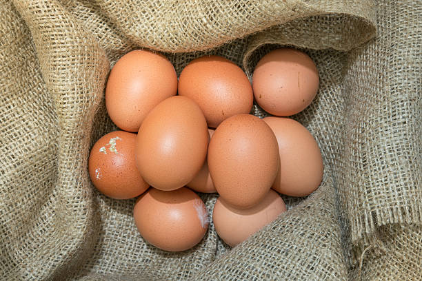 uova avvolti tela di sacco - agriculture brown burlap cholesterol foto e immagini stock