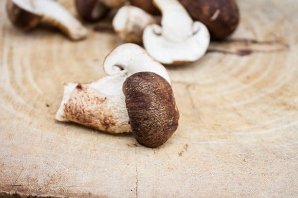 istock Shiitake mushrooms on wood background 538670868