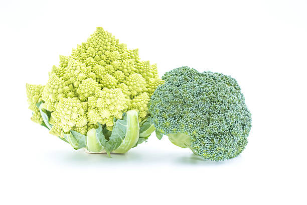 l green broccoli in white background