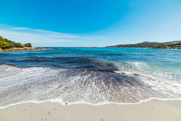 istock Piccolo Pevero beach under a clear sky 538672308