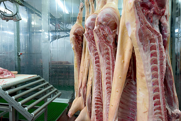 istock Butcher cutting meat on the Food Processing Plant 538673006