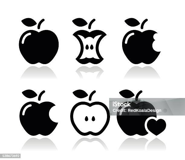 Apple Apple Core Bitten Half Vector Icons Stock Illustration - Download Image Now - Apple - Fruit, Biting, Missing Bite