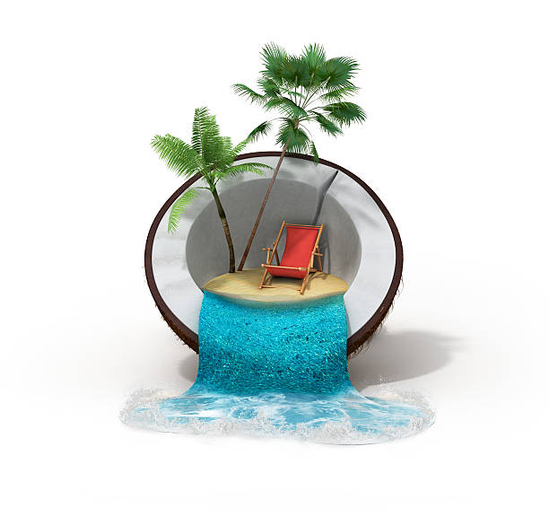 istock tropical island in coconut Travelling concept 3d render on white 538673976