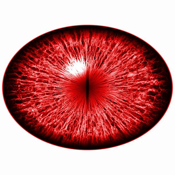 istock Seven eyes set. Isolated red elliptic eye,  iris and pupil. 538674560
