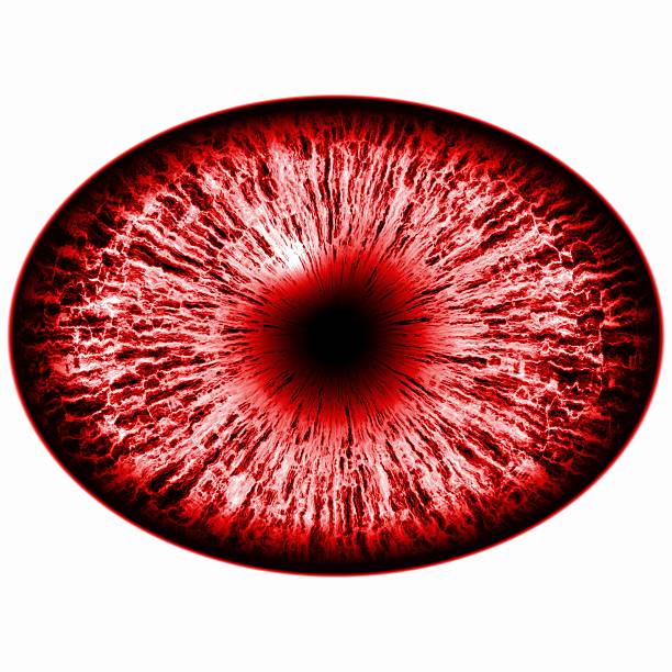 istock Seven eyes set. Isolated red elliptic eye,  iris and pupil. 538674624