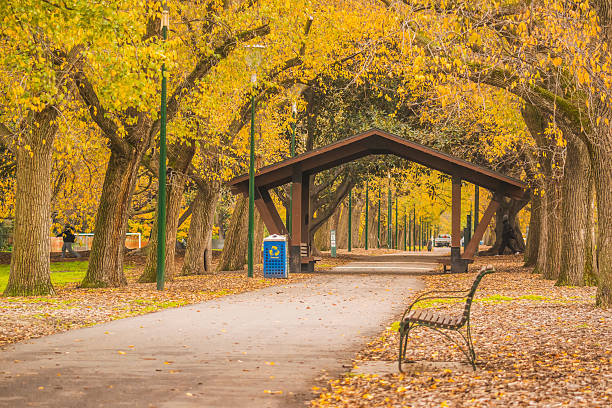 Fawkner Park in autumn, Melbourne Fawkner Park in Melbourne, bathed in autumn colours. south yarra stock pictures, royalty-free photos & images