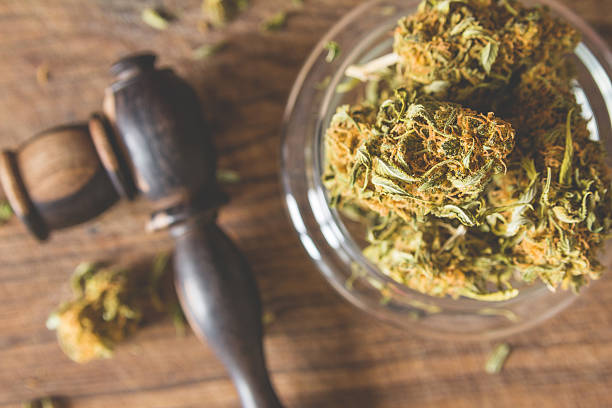 istock Marijuana buds in the glass plate 538677384