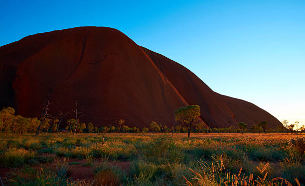 환경 에서 울룰루 새벽 - uluru australia northern territory sunrise 뉴스 사진 이미지