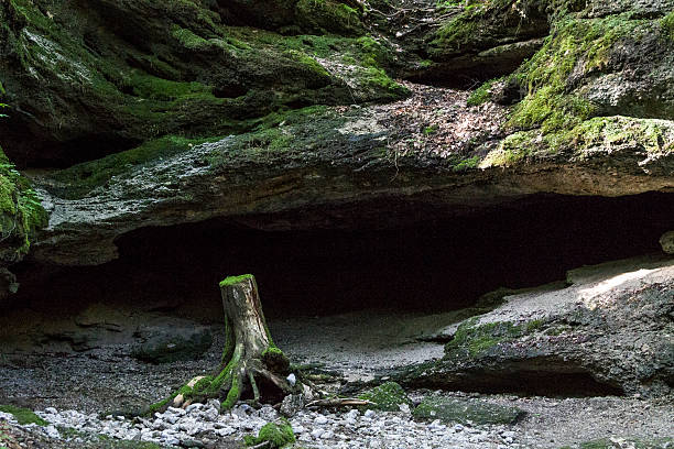 istock Badger cave in Bad Toelz 538679990