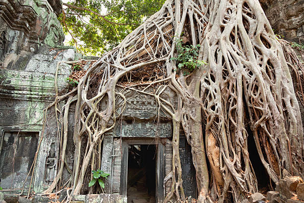 istock Ta prohm ruins, Angkor Wat, Cambodia 538680352
