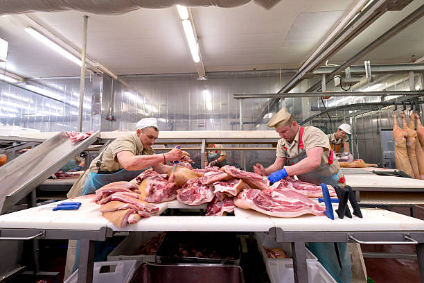 boucher coupe la viande sur l'usine agro-alimentaire - slaughterhouse photos et images de collection