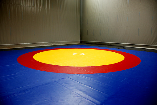 The wrestling mat into the hall