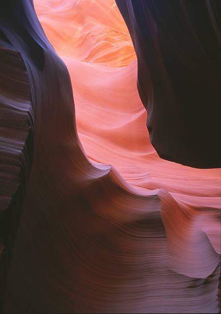 lower antelope comme vu dans un slot canyon - natural landmark outdoors vertical saturated color photos et images de collection