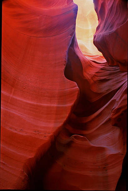 lower antelope canyon patrząc w rozetnijcie kanion - natural landmark outdoors vertical saturated color zdjęcia i obrazy z banku zdjęć