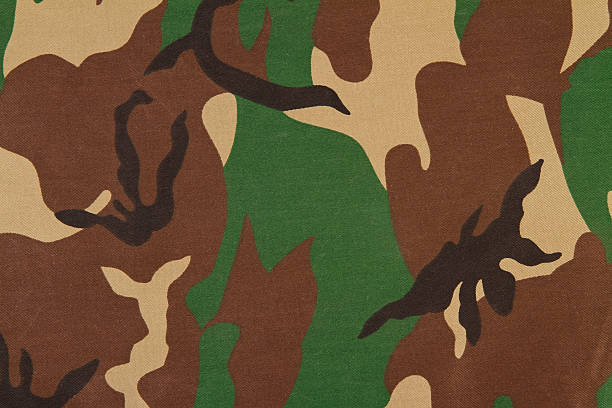 istock Camouflage pattern on cloth. Woodland style. 538683823