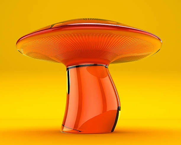 istock Orange Mushroom on a Yellow Background 538684557