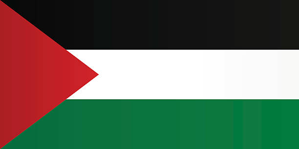 Flag of Palestine Flag of Palestine palestinian flag stock illustrations