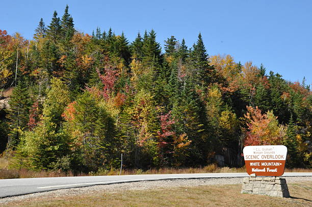 istock Fall Colors at White Mountain National Forest in New Hampshire 538686561