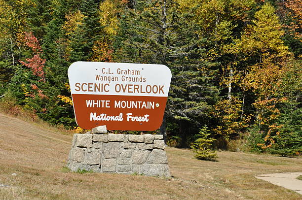 istock Fall Colors at White Mountain National Forest in New Hampshire 538686567