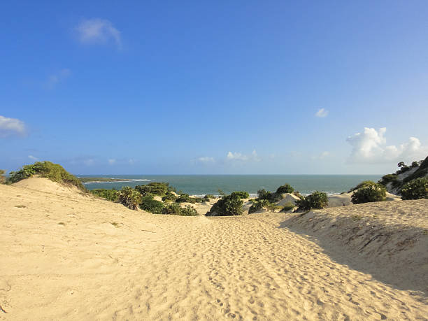istock Shela beach in Lamu. Kenya 538687358