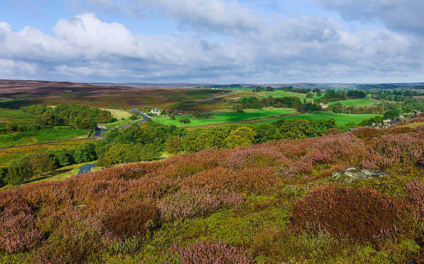 istock North York Moors in autumn, Goathland, Yorkshire, UK. 538687433