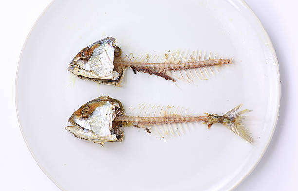istock Fishbone of Mackerel fried on white plate 538688189