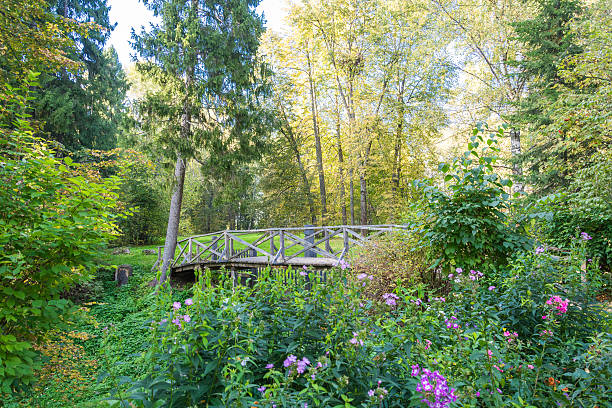 istock Wooden bridge in the forest Park 538689213