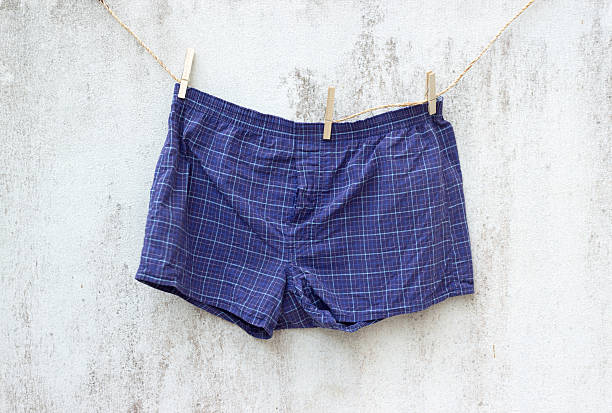 blue boxer underwear on grunge wall blue boxer underwear on grunge wall boxer dog stock pictures, royalty-free photos & images