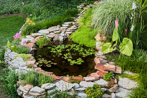 Beautiful pond in a backyard surrounded with stone during summer
