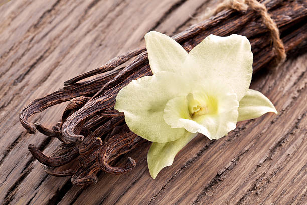 istock Bunch of vanilla sticks and flower. 538704559